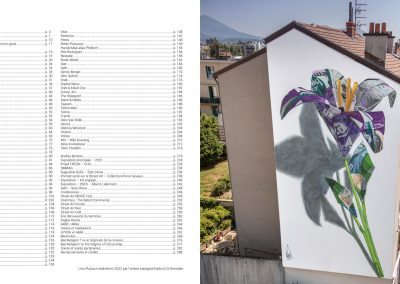 Street Art Fest Grenoble-Alpes